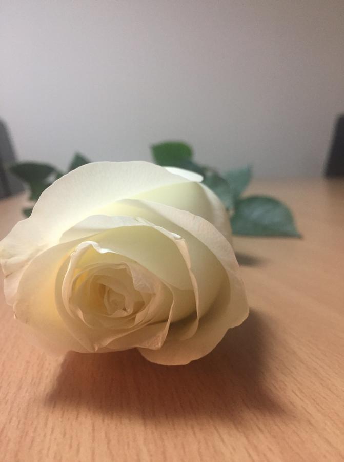 Euro Hotel Timisoara Luaran gambar